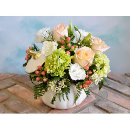 Tom's Florist Smyrna - Nestled within a charming white pumpkin, our ‘Peaches and Cream Pumpkin’ radiates autumnal warmth and delicate beauty.
Soft peach and ivory roses mingle with lush green hydrangeas and baby’s breath, creating a sweetly scented, cloud-like bouquet. 
This stunning fall floral arrangement is perfect as a hostess gift, a Thanksgiving centerpiece, or simply to brighten someone’s day.
Send a touch of cozy elegance with this unique pumpkin floral design—a beautiful expression of fall’s gentle grace.
