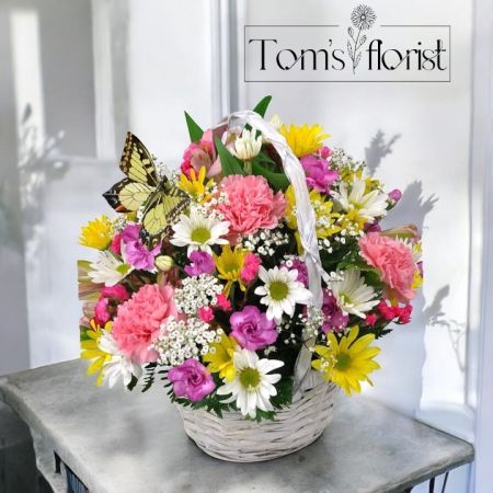 Tom's Florist Smyrna - Bring the essence of a blooming meadow into your home with our Spring Meadow Basket. This delightful one-sided bouquet features a cheerful mix of white, pink, and yellow flowers, carefully arranged to capture the fresh and vibrant spirit of spring. The soft hues of the blooms are complemented by a playful butterfly pick, adding an extra touch of whimsy and charm. Arranged in a light colored 12" tall handled basket (basket color may vary), this arrangement is perfect for brightening up any space or as a thoughtful gift to celebrate a special occasion. Let the Spring Meadow Basket infuse your day with warmth, beauty, and a little bit of magic.