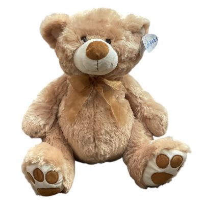 Above All Flowers Nolensville - Maple Teddy Bear 

Say hello to our 15-inch light brown teddy bear with a heart full of love! With its soft, plush fur and a delicate chiffon bow tied around its neck, this bear is as charming as it is cuddly. The sweet embroidery on its feet adds a special touch, and its friendly, inviting face is sure to make anyone smile. Perfect for little ones, loved ones, or anyone who could use a soft and loving companion, this bear is ready to bring comfort and joy to every hug!