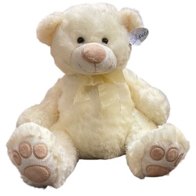 Above All Flowers Nolensville - Sugar Teddy Bear 

Say hello to our 15-inch ivory teddy bear with a heart full of love! With its soft, plush fur and a delicate chiffon bow tied around its neck, this bear is as charming as it is cuddly. The sweet embroidery on its feet adds a special touch, and its friendly, inviting face is sure to make anyone smile. Perfect for little ones, loved ones, or anyone who could use a soft and loving companion, this bear is ready to bring comfort and joy to every hug!
