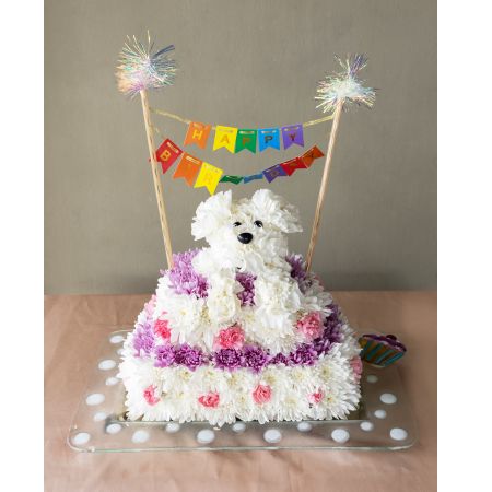 Conroy's Flowers El Cajon El Cajon - Experience a blooming delight with our Birthday Pupcake Delight. This extraordinary creation features a glass decorated platter vase, forming the base of a stunning two-tier cake made entirely of vibrant flowers. Adorned with an adorable white dog perched on top, it adds a whimsical touch to this celebratory centerpiece. With a "Happy Birthday" banner that catches the eye, this floral masterpiece is a perfect choice to add joy and beauty to any birthday celebration.