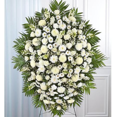 Conroy's Flowers El Cajon El Cajon - The White Funeral Standing Spray is a beautiful and serene tribute crafted to bring hope and light during a time of loss. Meticulously handcrafted by our expert local florists, this impressive standing spray features an abundance of pristine white blooms. White flowers symbolize peacefulness and purity, creating a sense of tranquility and offering solace to those grieving. With its lush and full presentation, this arrangement serves as a grand and memorable tribute, expressing the deep love and reverence for the departed.