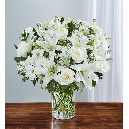 Sincerest Sorrow™ All White