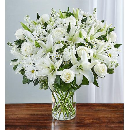 Conroy's Flowers El Cajon El Cajon - Express your sincere condolences with "Sincerest Sorrow™ All White." This elegant all-white arrangement features roses, lilies, stock, daisy poms, and Monte Casino. It serves as a peaceful tribute that offers treasured memories of loved ones. With our same-day flower delivery, you can promptly share this elegant arrangement with those who are mourning. "Sincerest Sorrow™ All White" is a thoughtful and comforting expression that brings solace and warmth during challenging moments, offering support and condolences.