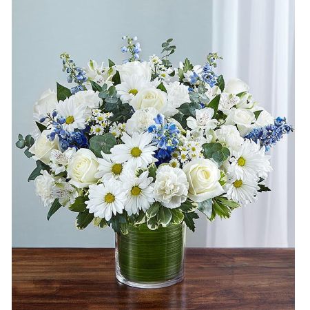 Conroy's Flowers El Cajon El Cajon - Embrace the sentiment of cherished memories with "Cherished Memories™ Blue & White." Blue symbolizes sorrow, while white represents the hope that inevitably overcomes it. This sympathy arrangement features white roses, alstroemeria, blue delphinium, and carnations, elegantly designed by hand in a graceful cylinder vase. It serves as a touching tribute to a life well-lived and the enduring hope that will always prevail. With our same-day flower delivery, you can promptly share this meaningful arrangement with those who are mourning. "Cherished Memories™ Blue & White" is a heartfelt and elegant expression that brings solace and warmth during challenging moments.
