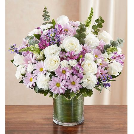 Conroy's Flowers El Cajon El Cajon - Bring back countless cherished memories with "Cherished Memories™ Lavender & White." Sometimes, a simple gesture is all it takes. This beautiful lavender and white sympathy arrangement is filled with graceful lavender roses, alstroemeria, and carnations. It is elegantly designed by hand in a graceful cylinder vase, serving as a touching tribute to a life well-lived and the precious memories that will live on. With our same-day flower delivery, you can promptly share this thoughtful and comforting arrangement with those who are mourning. "Cherished Memories™ Lavender & White" is a heartfelt and elegant expression that brings solace and warmth during challenging moments.






