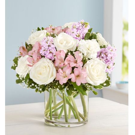 Loving Sentiments™ Pink & White