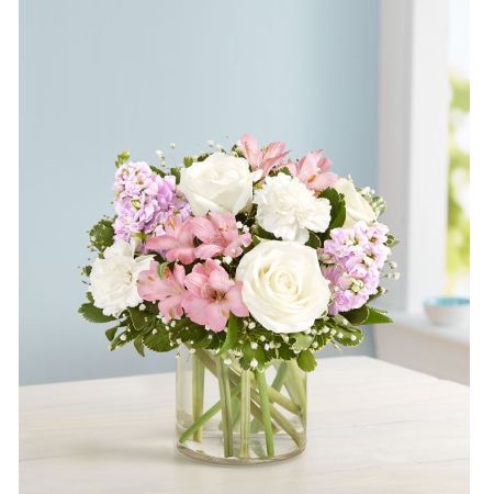 Loving Sentiments™ Pink & White