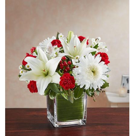 Conroy's Flowers El Cajon El Cajon - Find solace in the timeless beauty of "Soothing Sorrows Red & White." The color most related to the heart, red serves as a poignant reminder that your loved one will live forever in the hearts of those who care for them. This sympathy arrangement features timeless red roses, carnations, and white lilies, expertly gathered together in a clear glass cube lined with a Ti leaf ribbon. It is an exquisite and heartfelt gesture of comfort and healing. With our same-day flower delivery, you can promptly express your condolences and offer a source of solace to those in mourning. "Soothing Sorrows Red & White" is a beautiful and comforting arrangement that symbolizes enduring love and remembrance during difficult times.