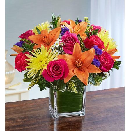 Soothing Sorrows Multicolor Bright