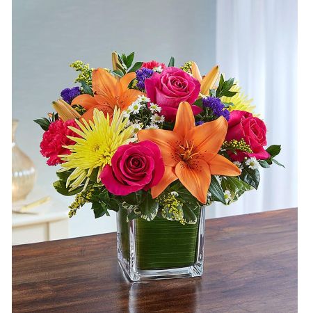 Soothing Sorrows Multicolor Bright