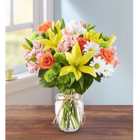 Fields of Europe® For Sympathy