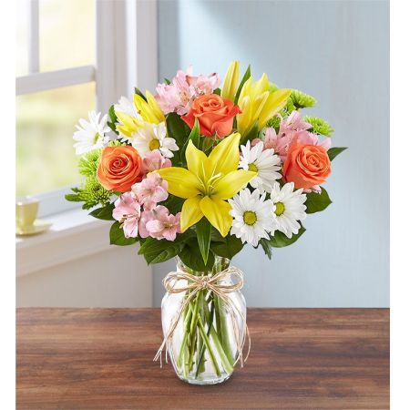 Fields of Europe® For Sympathy