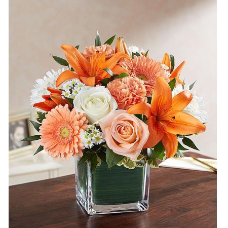 Soothing Sorrows Peach, Orange & White