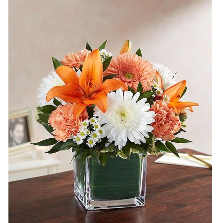 Conroy's Flowers El Cajon El Cajon - Ease the pain of loss with "Soothing Sorrows Peach Orange and White," a sympathy arrangement designed to savor warm memories. This arrangement features peach roses, daisies, orange lilies, and white roses, expertly gathered in a clear glass cube lined with a Ti leaf ribbon. It serves as a sweet and sentimental gesture of remembrance and healing. With our same-day flower delivery, you can promptly convey your condolences and offer a source of comfort to those in mourning. "Soothing Sorrows Peach Orange and White" is a thoughtful and heartfelt expression that brings warmth and solace during difficult moments.






