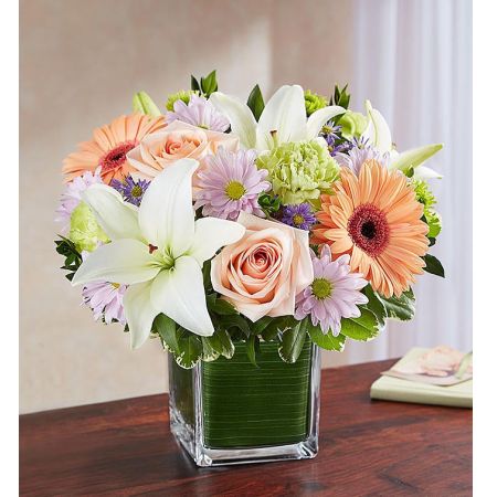 Soothing Sorrows Multicolor Pastel
