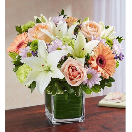 Soothing Sorrows Multicolor Pastel