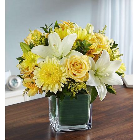 Soothing Sorrows Yellow & White