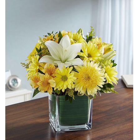 Conroy's Flowers El Cajon El Cajon - Remind them of a loved one's sunny disposition with "Soothing Sorrows Yellow and White." When sorrow prevails, a tribute in sunny yellow can serve as a reassurance that brighter days lay ahead. This sympathy arrangement features bright yellow roses, daisy poms, and white lilies, expertly gathered together in a clear glass cube lined with Ti leaf ribbon. It makes for an exquisite and uplifting gesture of comfort and healing. With our same-day flower delivery, you can promptly convey your condolences and offer a source of brightness during challenging times. "Soothing Sorrows Yellow and White" is a beautiful and heartfelt expression that brings warmth and solace to those in need.