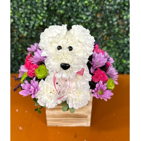 Conroy's Flowers El Cajon El Cajon - Spread joy and warmth with our charming 'Puppy Blooms' basket. This delightful arrangement features adorable blooms crafted in the shape of a playful pup, making it a heartwarming and whimsical gift for any occasion.
With our same-day flower delivery, you can promptly share the happiness and playfulness of 'Puppy Blooms' with your loved ones. It's a unique and thoughtful way to bring a smile to someone's face and add a touch of joy to their day.