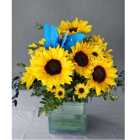 Conroy's Flowers El Cajon El Cajon - Transform any space into a radiant garden of joy with our exquisite array of sunflowers and vibrant yellow tones. The butterfly-themed decor, accompanied by a square glass vase, adds a touch of charm, making every corner feel like a blooming garden filled with the warmth of sunshine. This stunning arrangement, standing at 14 feet in height and 12 feet in width, is available for same-day flower delivery, ensuring you can bring a burst of happiness to any space promptly.





