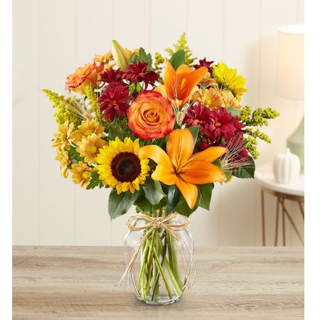 Fields of Europe® for Fall