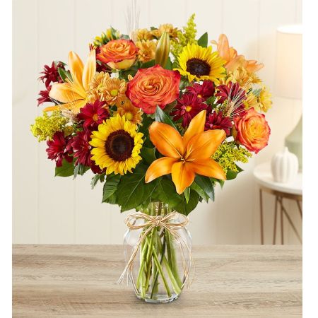 Fields of Europe® for Fall