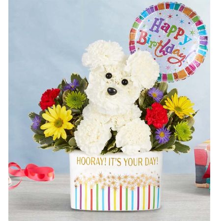 Conroy's Flowers El Cajon El Cajon - EXCLUSIVE A welcome guest at any gathering! Our adorable flower pup is festively arranged in our keepsake “Hooray It’s Your Day” container, bringing an abundance of cheer to every moment worth celebrating.