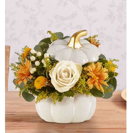 Plentiful White Pumpkin™