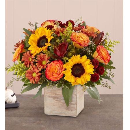Conroy's Flowers El Cajon El Cajon - EXCLUSIVE The color and charm of an autumn country harvest inspired our farmhouse-style bouquet. A loose, natural gathering of blooms in vibrant shades of red, orange and yellow creates the perfect complement to our rustic, grey-washed wooden cube. With its soft tones and natural textures, it’s an ideal container for flowers and plants, adding warm and coziness to any fall décor.