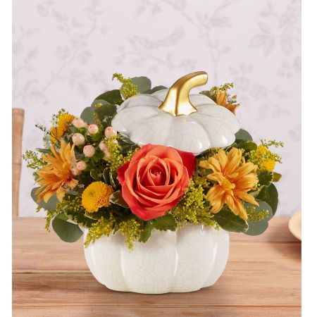 Autumn White Pumpkin™