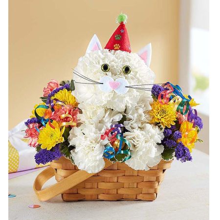 Purrfect Party Cat™