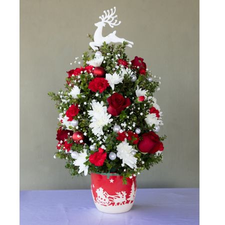 Conroy's Flowers El Cajon El Cajon - celebrate the holiday with this enchanting tree. Perfect to capture the jolly spirit!
**CONTAINER MAY VARY**