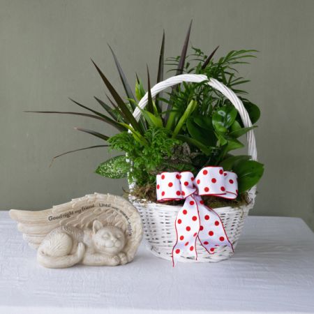 Conroy's Flowers El Cajon El Cajon - Embrace cherished memories with our Cat Memorial Garden. Featuring a comforting cat figurine adorned with angel wings, accompanied by serene plants. Pay homage to your beloved companion with this heartfelt tribute.
