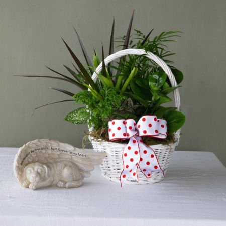 Conroy's Flowers El Cajon El Cajon - Honor the memory of your cherished canine companion with our Dog Memorial Garden. This heartfelt set includes a comforting dog figurine with angel wings, accompanied by tranquil plants. Create a serene tribute to your beloved friend with this special memorial garden