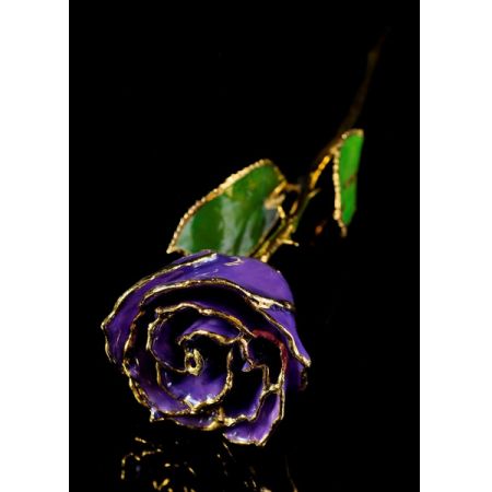 February Rose - Amethyst Gold Trimmed Rose