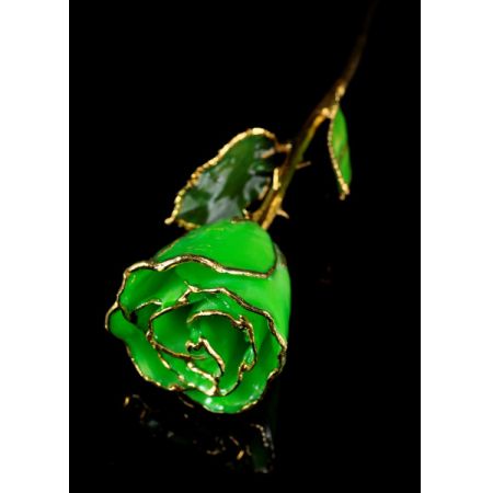 August Rose - Peridot Gold Trimmed Rose
