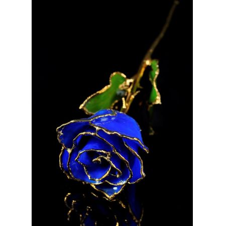 September Rose - Sapphire Gold Trimmed Rose