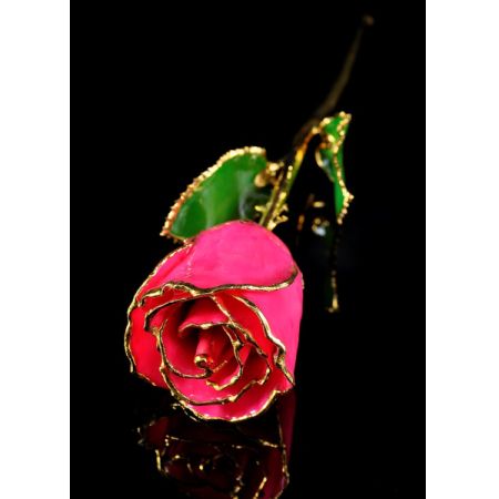 October Rose - Tourmaline Gold Trimmed Rose