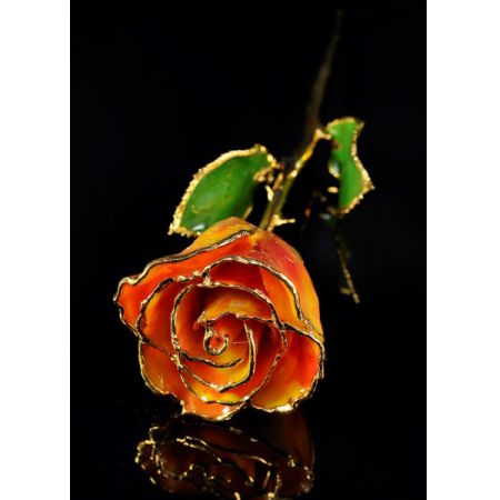 November Rose - Amber Resin Gold Trimmed Rose