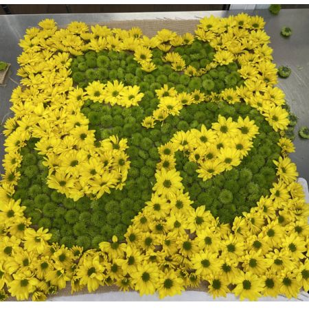 Conroy's Flowers El Cajon El Cajon - Honor your loved one with our Om Cremation Cloth, a sacred and heartfelt tribute. This delicate fabric is adorned with carefully arranged flowers, symbolizing purity and eternal peace. Designed to be placed on the loved one before cremation, it serves as a beautiful and respectful farewell. 


Please allow 48 hours for us to prepare this meaningful arrangement.