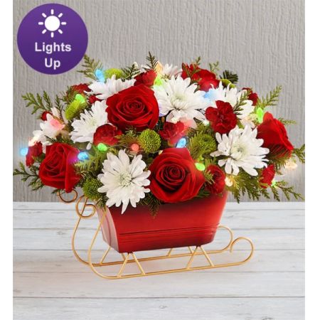 Conroy's Flowers El Cajon El Cajon - Send holiday joy their way! Our dashing arrangement is filled with classic Christmas-colored blooms and fragrant evergreens. Gathered in our vintage sleigh, complete with colorful LED lights, this treasured collectible brings the festive spirit of the season into every home, year after year. Perfect as part of the decor or for holding wrapped treats.


***Container may vary***
