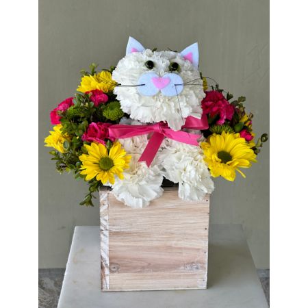 Conroy's Flowers El Cajon El Cajon - The cat’s out of the bag! Inspired by the success of our best-selling a-DOG-able collection, we’ve created the purr-fect surprise for feline lovers of all ages. Crafted from white carnations and a mix of colorful blooms