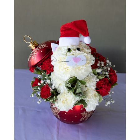Conroy's Flowers El Cajon El Cajon - A festive kitty made of white carnations, red flowers, and holiday greens, topped with a Santa hat.

**CONTAINER MAY VARY**