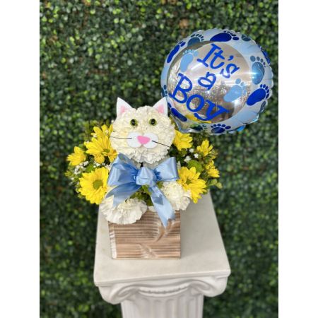 Conroy's Flowers El Cajon El Cajon - Fabulous Feline is a whole lot of fun – and helps say congrats on your new little one! Fresh white carnations are expertly crafted in the shape of an adorable cat, surrounded by a mix of colorful blooms