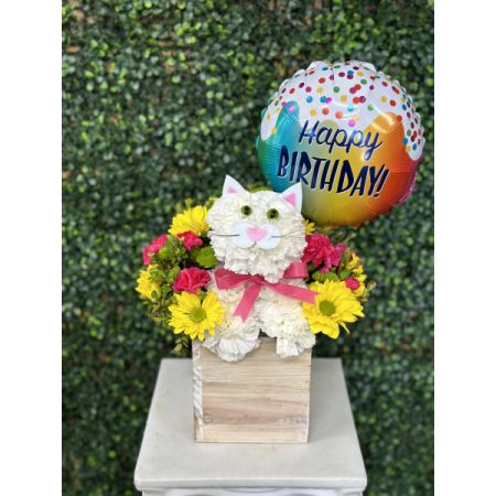 Conroy's Flowers El Cajon El Cajon - Purrfect Party Cat W/HBD Balloon 