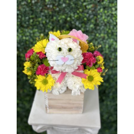 Conroy's Flowers El Cajon El Cajon - The cat’s out of the bag! Inspired by the success of our best-selling a-DOG-able® collection, we’ve created the purr-fect surprise for feline lovers of all ages. Crafted from white carnations and a mix of colorful blooms