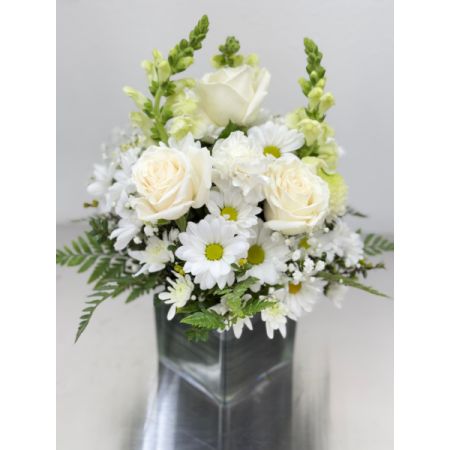 Conroy's Flowers El Cajon El Cajon - Embrace the purity of innocence and solace with "Healing Tears All White." This sympathy arrangement features angelic white roses, lilies, mums, daisy poms, and more, expertly arranged in a clear glass cube lined with a Ti leaf ribbon. It serves as an exquisite and comforting gesture during times of loss. With our same-day flower delivery, you can promptly extend your condolences and provide a source of comfort to those grieving. "Healing Tears All White" is a thoughtful expression of sympathy, symbolizing purity and offering a serene presence during difficult moments.






