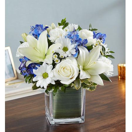 Soothing Sorrows Blue & White