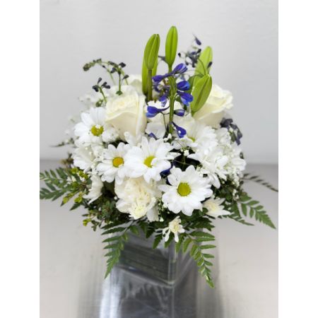 Conroy's Flowers El Cajon El Cajon - Ease the sorrow of those mourning the loss of a loved one with "Healing Tears." This sympathy arrangement features the serenity of blue and white, combining fresh blue delphinium, white roses, and lilies. Expertly gathered together in a clear glass cube lined with Ti leaf ribbon, this arrangement is an exquisite gesture of comfort and healing. With our same-day flower delivery, you can promptly express your condolences and provide a source of solace to those in need. "Healing Tears" is a thoughtful and comforting way to convey your sympathy during difficult times.